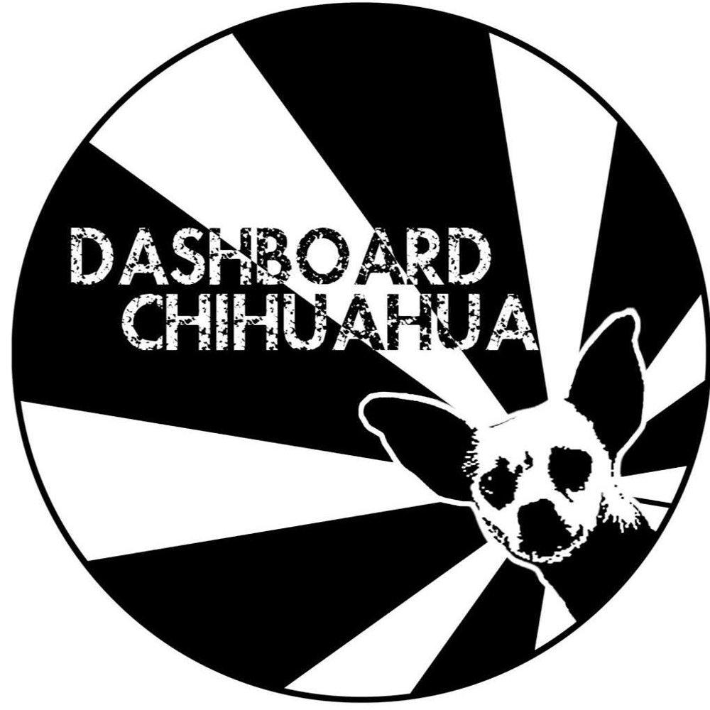 Dashboard Chihuahuas