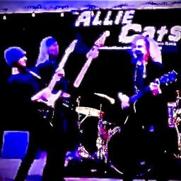 The Allie Cats