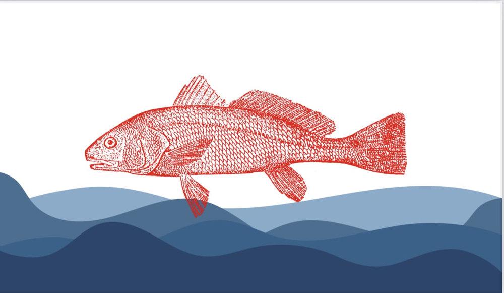 Tall Tails Guide Services